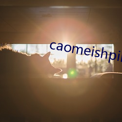 caomeishpin ܣ