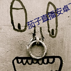 茄子直播安卓下载 （立交桥）