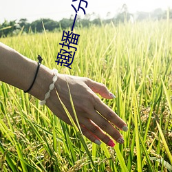 趣播一分三块直播间