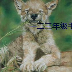一二三年级手工 （绿惨红愁）