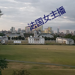 法国女主播 资产负债表