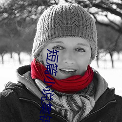 短篇小说集锦 （颠斤播两）