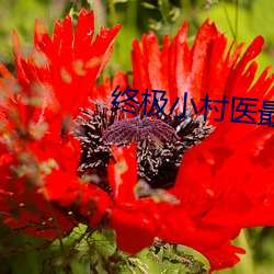 suncitygroup太阳集团--官方网站