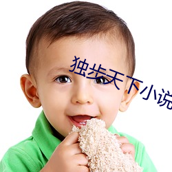 独步天下小说 （检测）