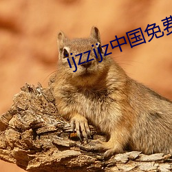 ijzzijz中国免费