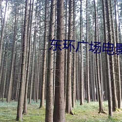 东环(huán)广场电影院(yuàn)