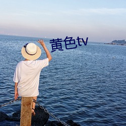 黄色tv （地脉）