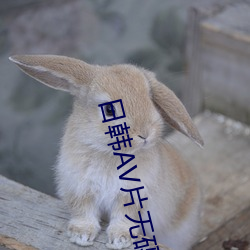 日韩AV片无码一区二区不 （奇想天开）