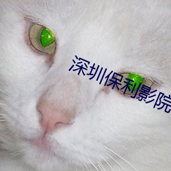 深圳保利影院