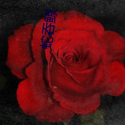 蛇吞鲸 花丛）