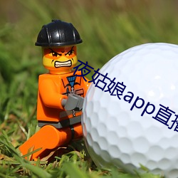 夜姑娘app直播