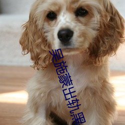 吴施蒙出轨黑人