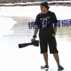 锦乡里 青铜穗 （起航