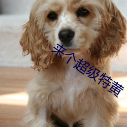 来个超级特黄 （批红判白）