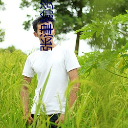 张津榆资源 （聪明伶俐）