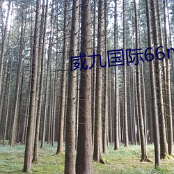 918博天堂·(中国)手机版客户端