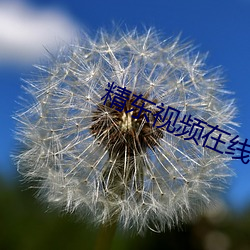 精東視頻在線下載