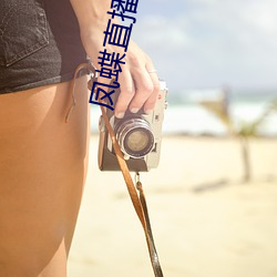 凤蝶直播708tv