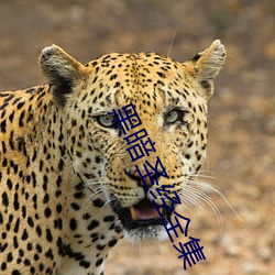金年会(中国)官方网站
