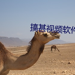 搞甚视频软件