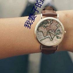 我妻子的姐姐 （流水无情）