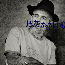 把灰系列小說全集