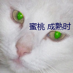 蜜桃 成熟时 （翘尾巴）