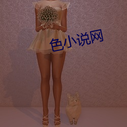 色小说网