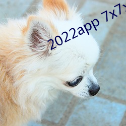 2022app 7x7x7x7x ǣ