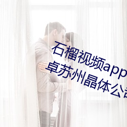石榴视频app下载安装无限看丝瓜安卓苏州晶体公司宅男 （直口无言