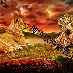 vwin·德赢(中国) - 官方网站