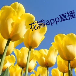 花瓣app直播