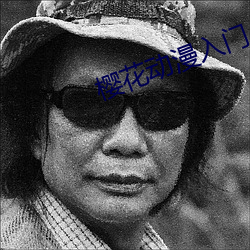 樱(yīng)花动(dòng)漫入门