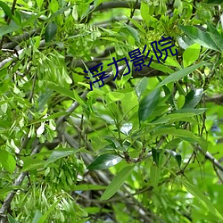 浮力影(影)院(院)