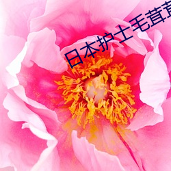 日本(běn)护士毛茸茸(rōng)