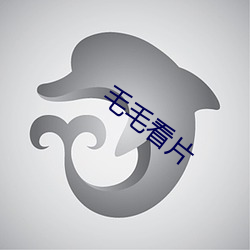 毛毛看片