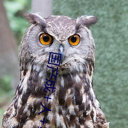 国产成+人+综合+亚洲欧美