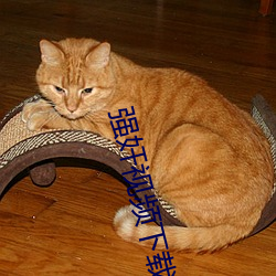 强(qiáng)奸视(shì)频下载(zài)软(ruǎn)件