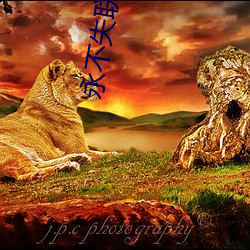 永不失聯的愛mv視頻