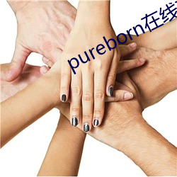 pureborn在线观看