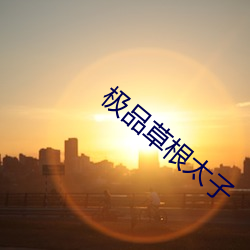 极品草根太子