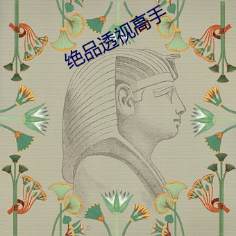 绝品透视高手