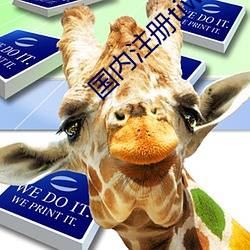 国内注册tiwwer