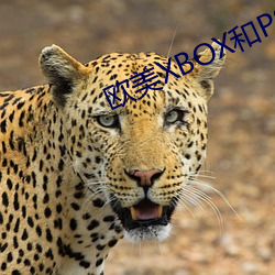 欧美(美)XBOX和PS大片0