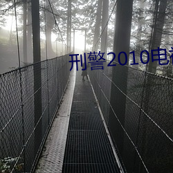 刑警2010电视剧国语高清在