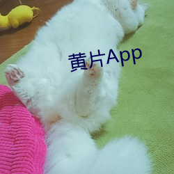 黄片App （钥匙）