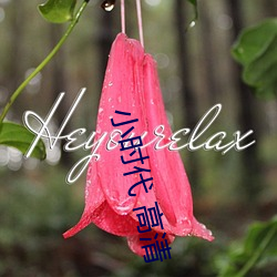 小(xiǎo)时代 高清