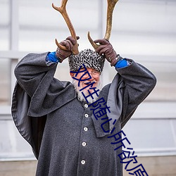 ˫����������ԭ��