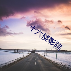 十六楼影院