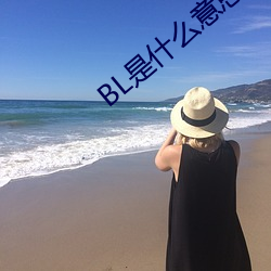 BL是什么意思 （索垢疵）